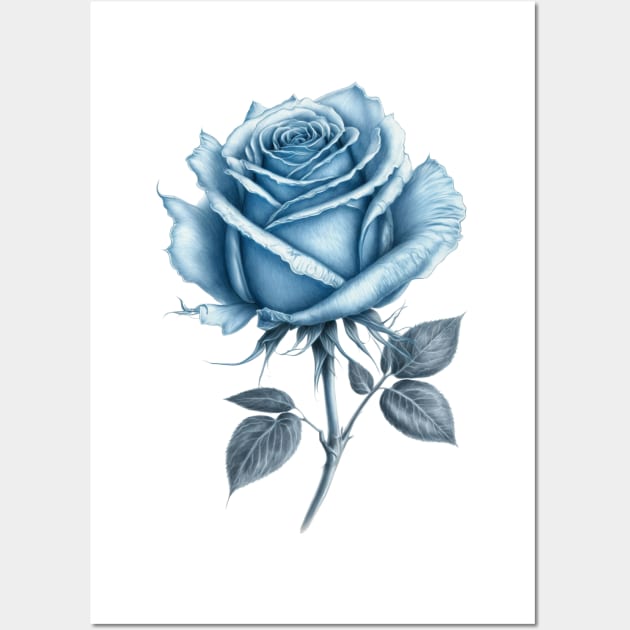 Blue Rose Drawing, Flower Drawing, Gift For Her Wall Art by DivShot 